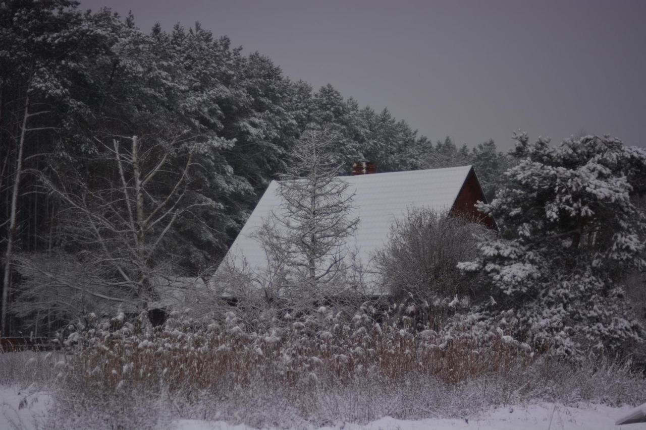 Sowa I Kumple Villa Drezdenko Bagian luar foto