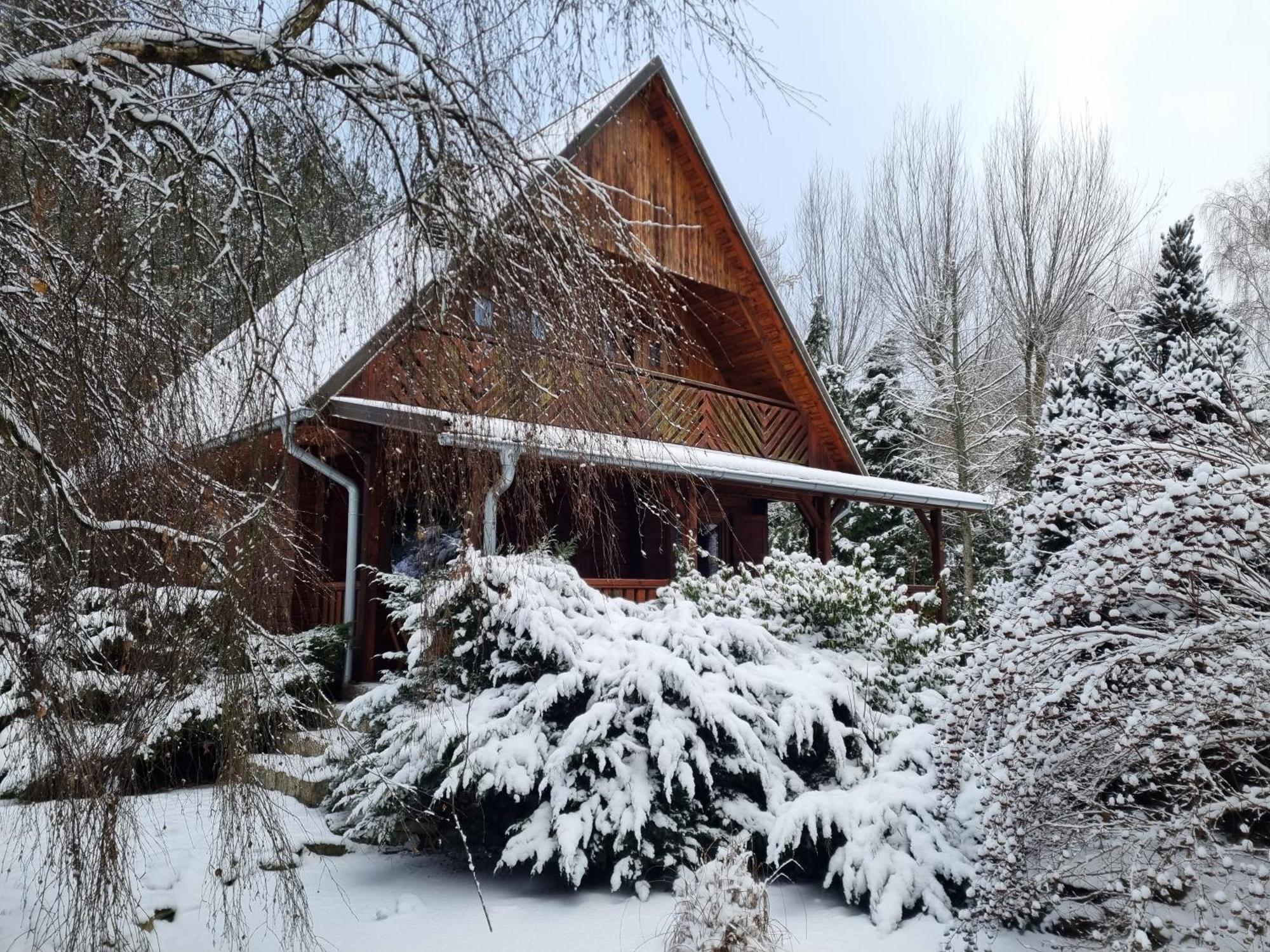 Sowa I Kumple Villa Drezdenko Bagian luar foto